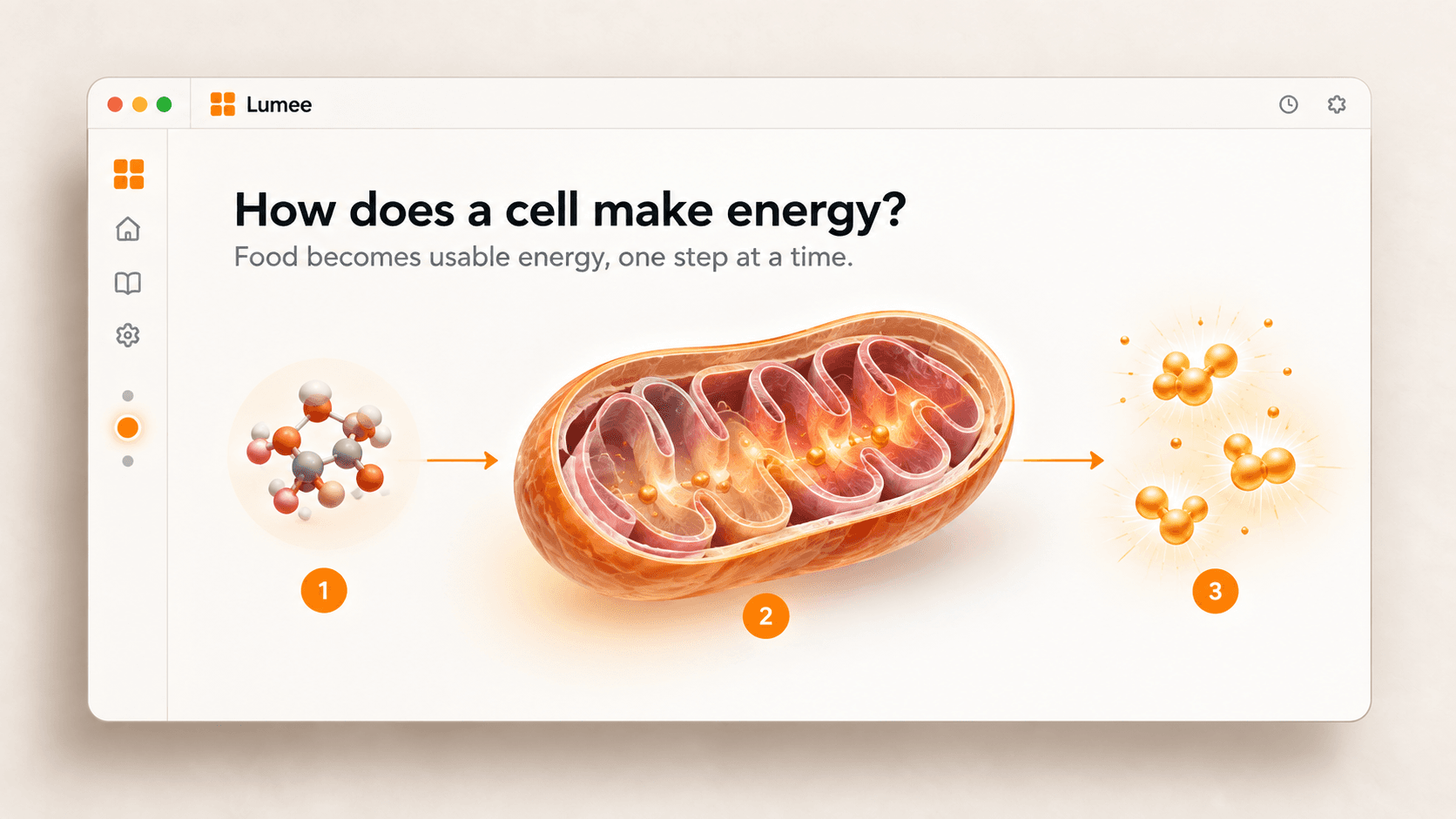 Lumee visually explaining how a cell creates usable energy